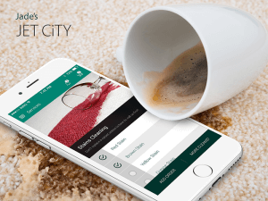 Private: Jade’s Jet City – Hire Cleaning, Repairing & Restoration Services Easily