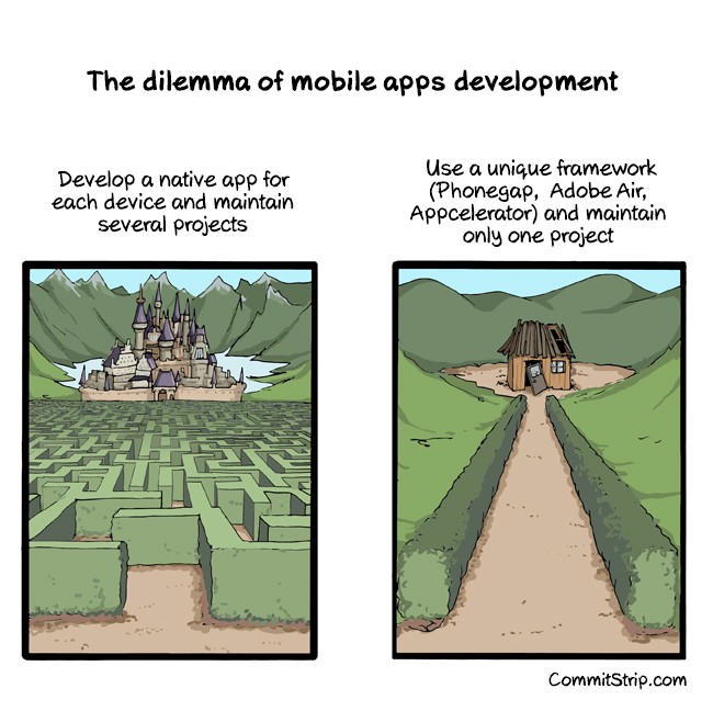 to build a native app or build a cross platform app